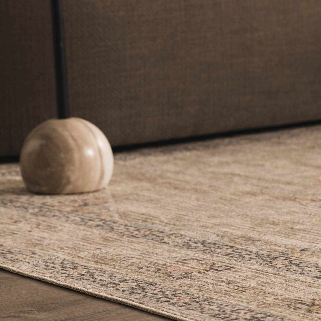 Haide Traditional Style Beige And Gray Area Rug - The Rug Decor