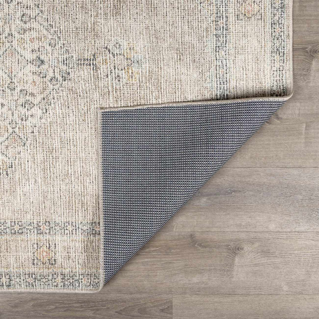 Haide Traditional Style Beige And Gray Area Rug - The Rug Decor