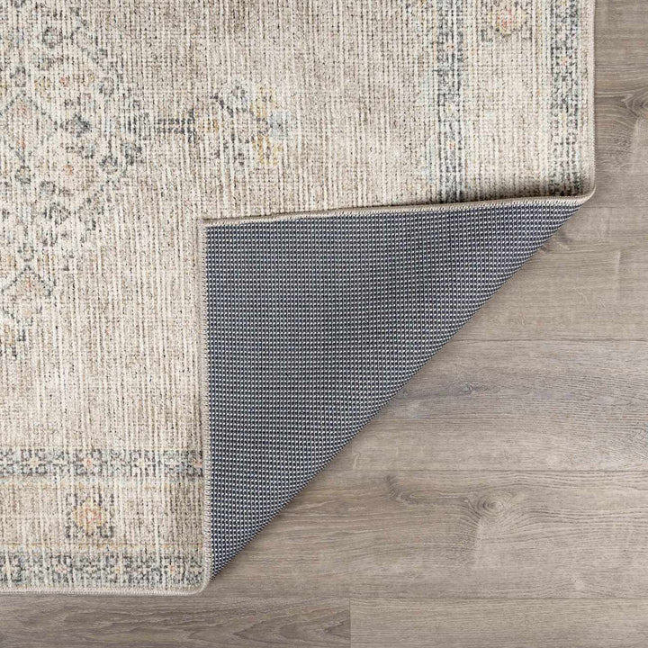 Haide Traditional Style Beige And Gray Area Rug - The Rug Decor