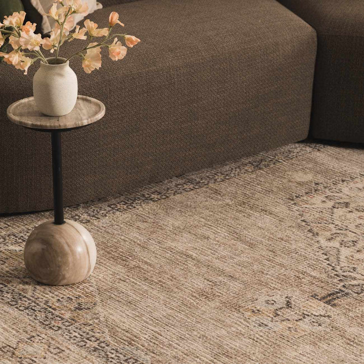 Haide Traditional Style Beige And Gray Area Rug - The Rug Decor