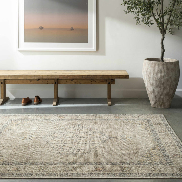 Haide Traditional Style Beige And Gray Area Rug - The Rug Decor