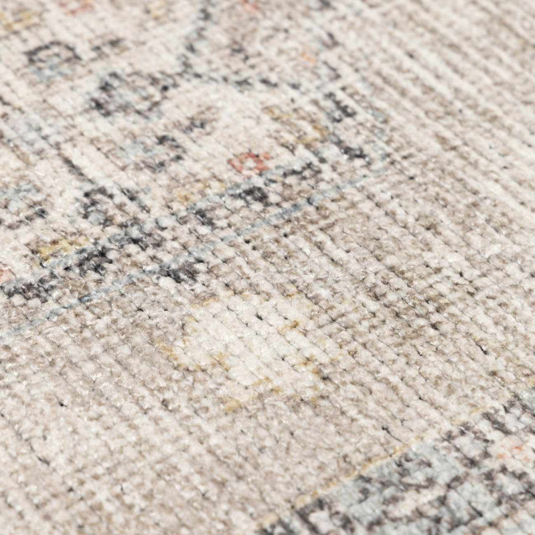 Haide Traditional Style Beige And Gray Area Rug - The Rug Decor