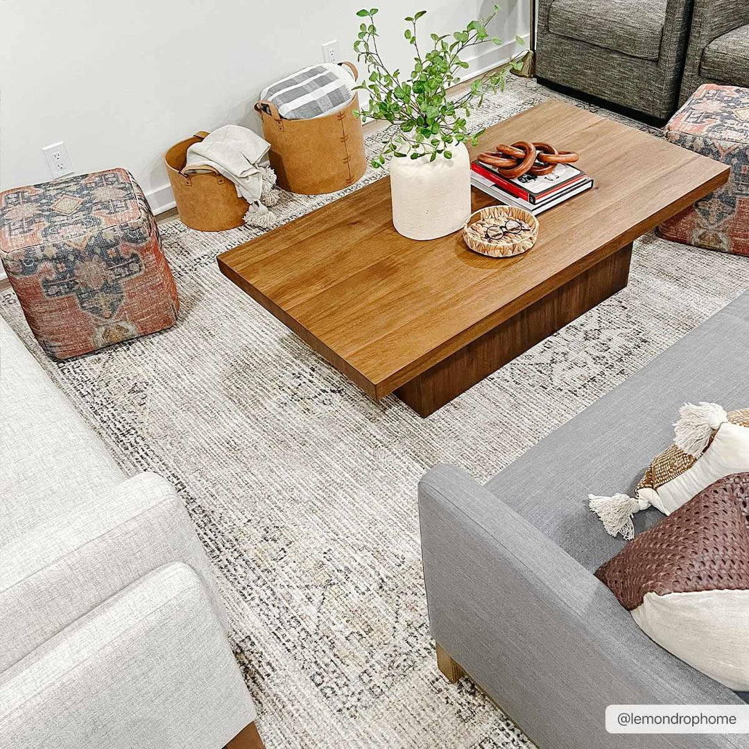 Haide Traditional Style Beige And Gray Area Rug - The Rug Decor