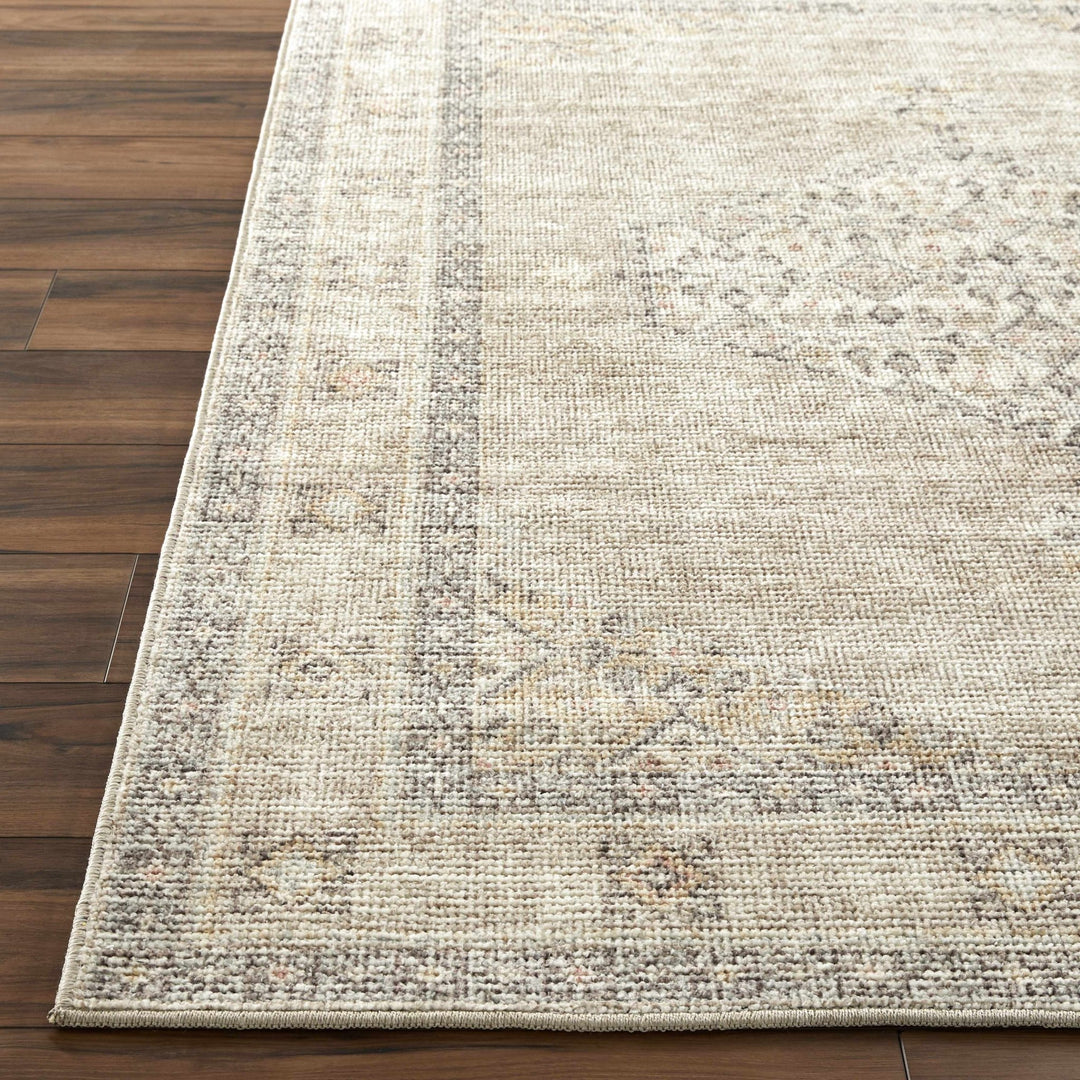Haide Traditional Style Beige And Gray Area Rug - The Rug Decor