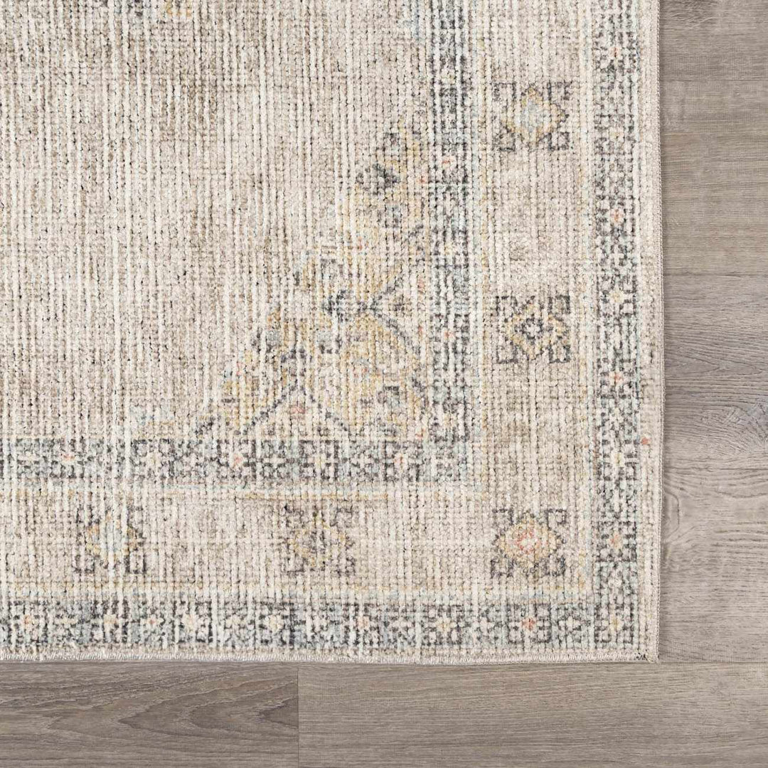 Haide Traditional Style Beige And Gray Area Rug - The Rug Decor