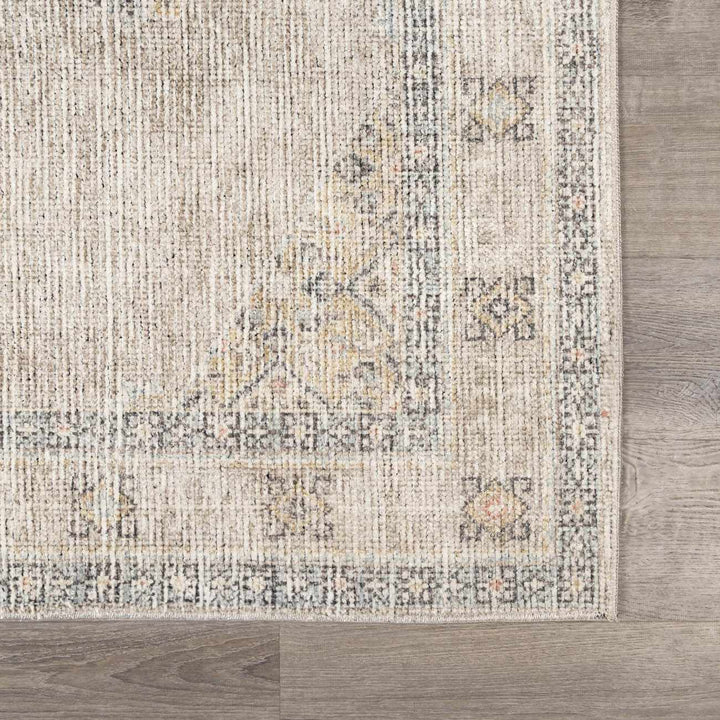 Haide Traditional Style Beige And Gray Area Rug - The Rug Decor