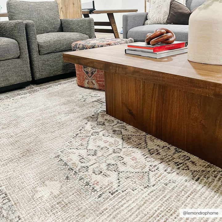 Haide Traditional Style Beige And Gray Area Rug - The Rug Decor