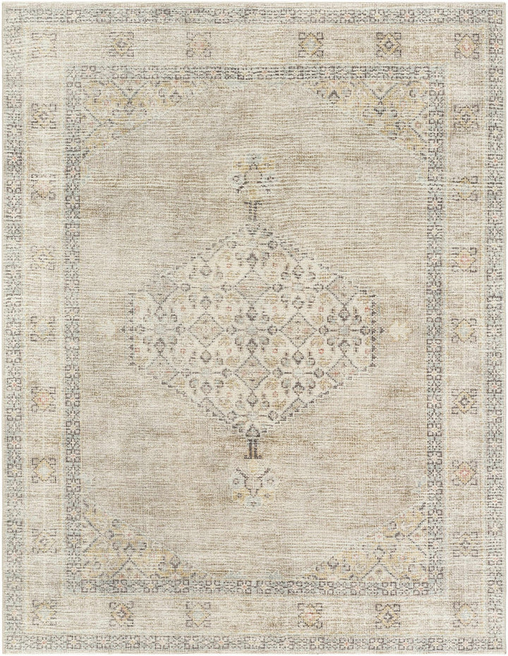 Haide Traditional Style Beige And Gray Area Rug - The Rug Decor
