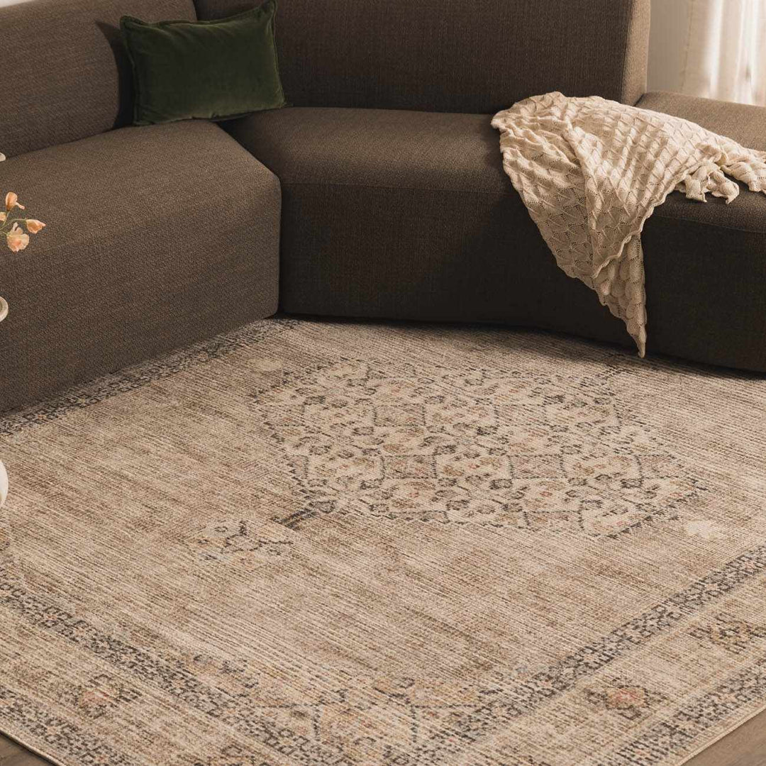 Haide Traditional Style Beige And Gray Area Rug - The Rug Decor