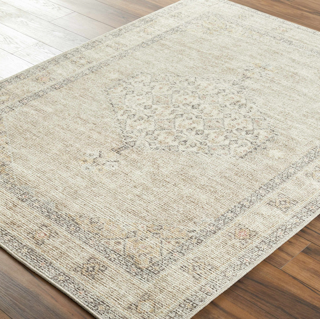 Haide Traditional Style Beige And Gray Area Rug - The Rug Decor
