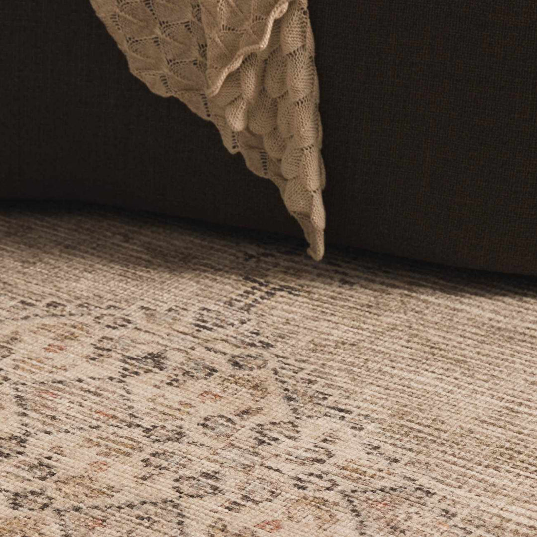 Haide Traditional Style Beige And Gray Area Rug - The Rug Decor