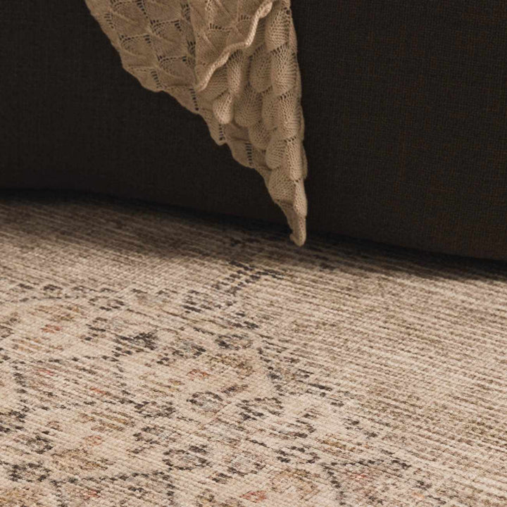 Haide Traditional Style Beige And Gray Area Rug - The Rug Decor