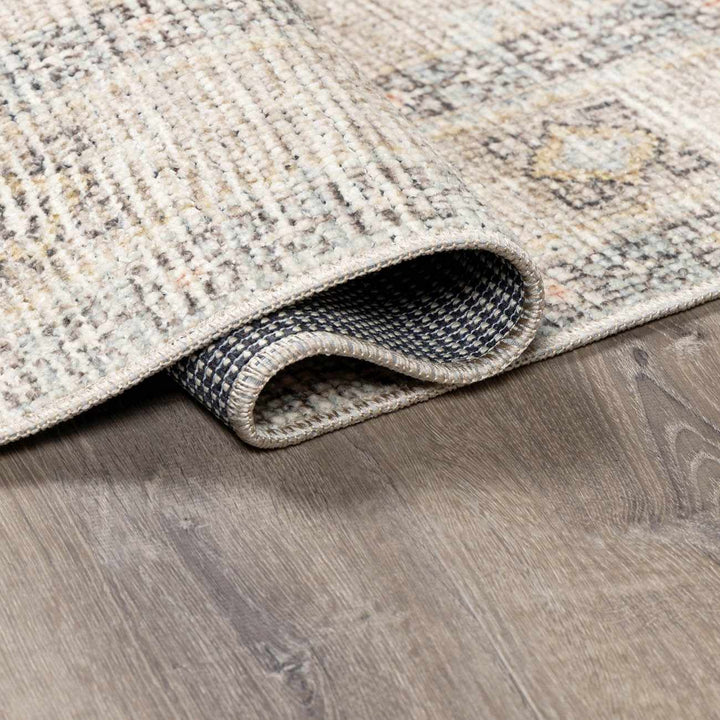 Haide Traditional Style Beige And Gray Area Rug - The Rug Decor