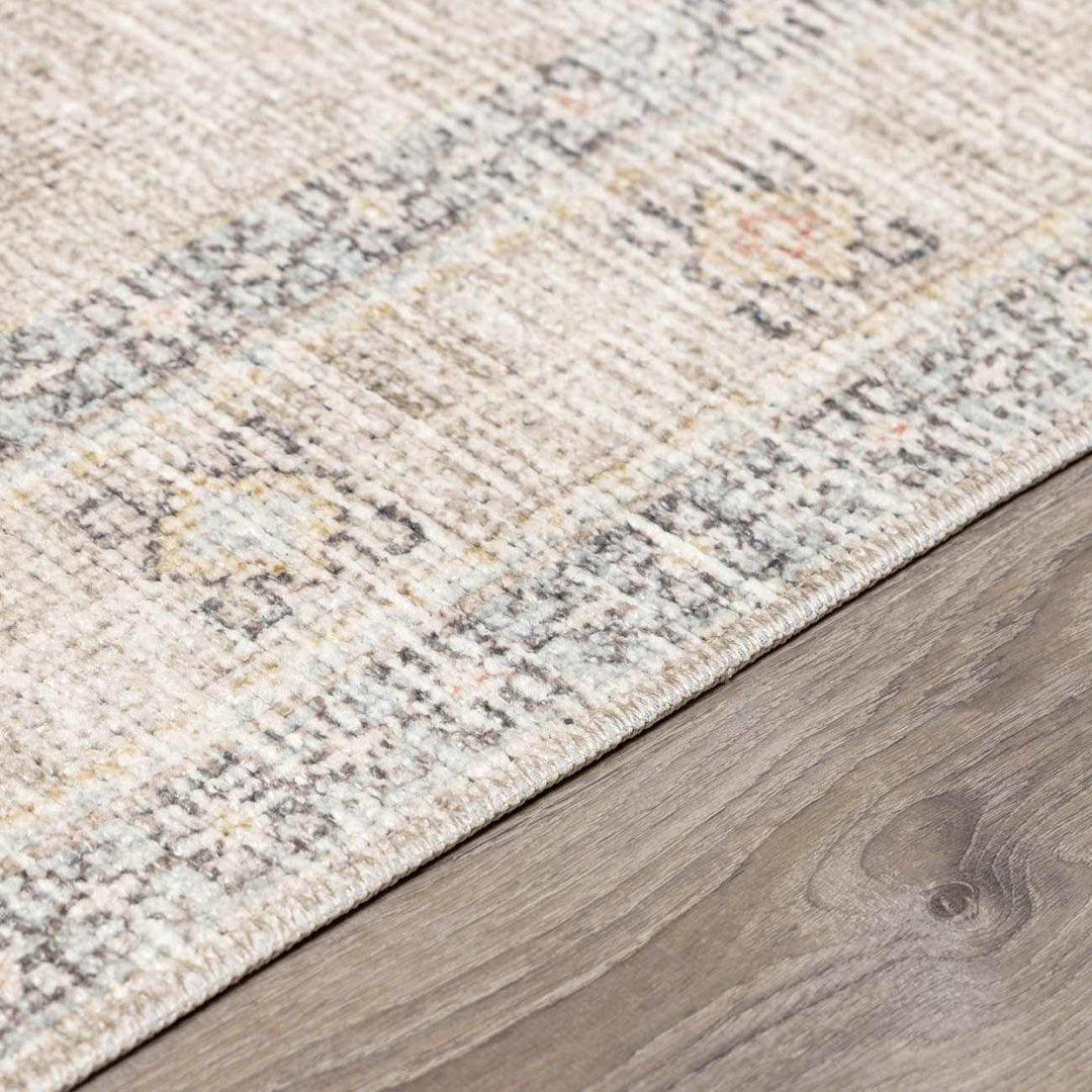 Haide Traditional Style Beige And Gray Area Rug - The Rug Decor