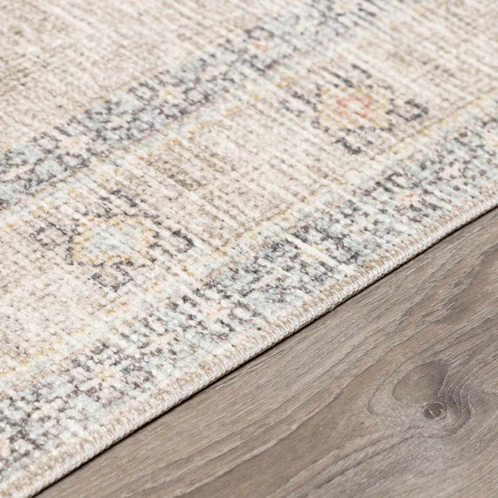 Haide Traditional Style Beige And Gray Area Rug - The Rug Decor