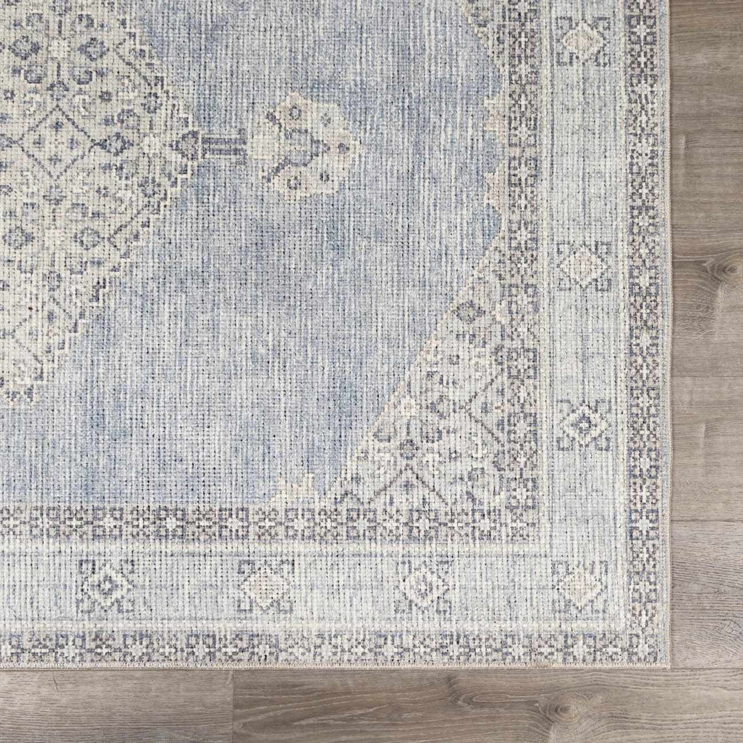 Haide Traditional Style Gray And Ivory Area Rug - The Rug Decor