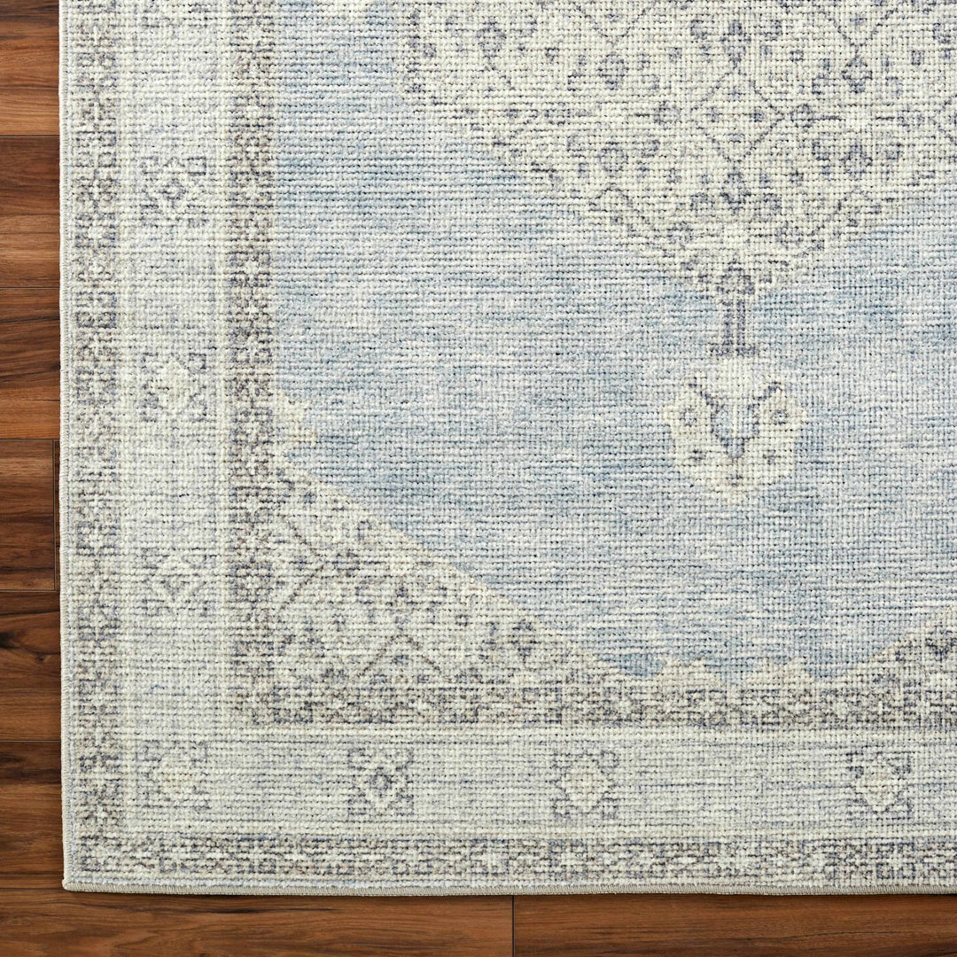 Haide Traditional Style Gray And Ivory Area Rug - The Rug Decor
