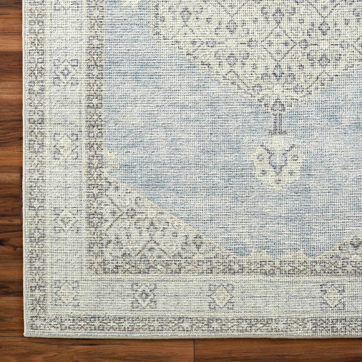 Haide Traditional Style Gray And Ivory Area Rug - The Rug Decor