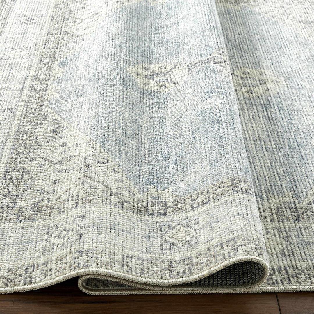 Haide Traditional Style Gray And Ivory Area Rug - The Rug Decor