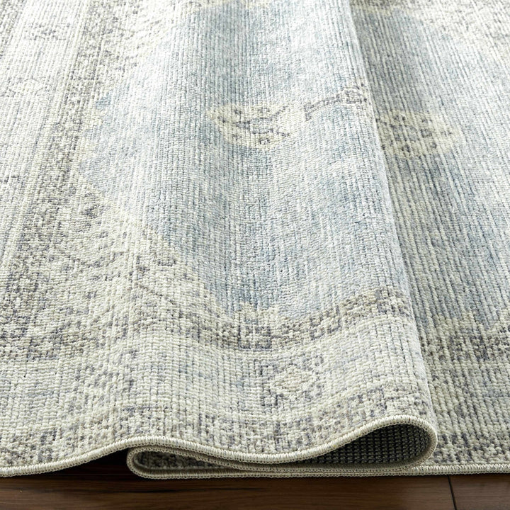 Haide Traditional Style Gray And Ivory Area Rug - The Rug Decor