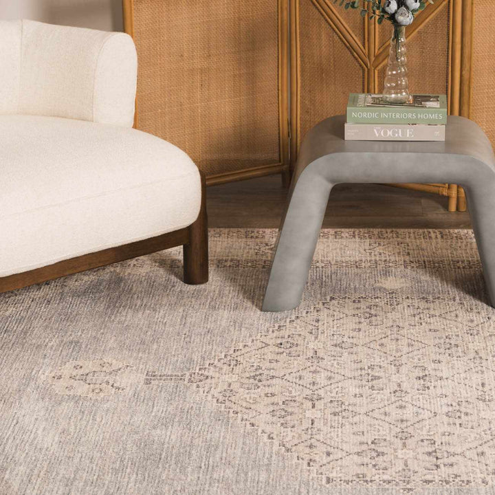 Haide Traditional Style Gray And Ivory Area Rug - The Rug Decor