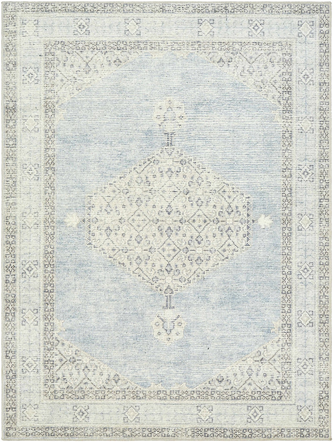 Haide Traditional Style Gray And Ivory Area Rug - The Rug Decor