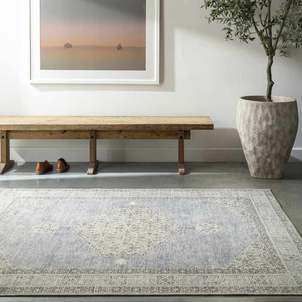 Haide Traditional Style Gray And Ivory Area Rug - The Rug Decor