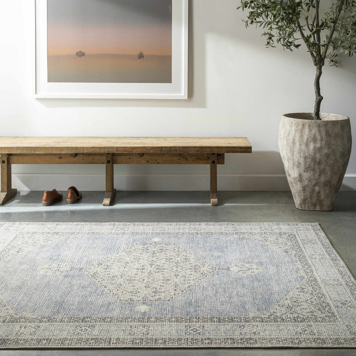 Haide Traditional Style Gray And Ivory Area Rug - The Rug Decor