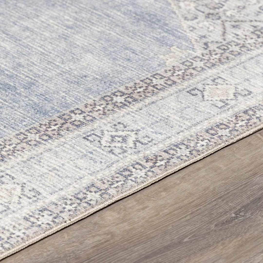 Haide Traditional Style Gray And Ivory Area Rug - The Rug Decor