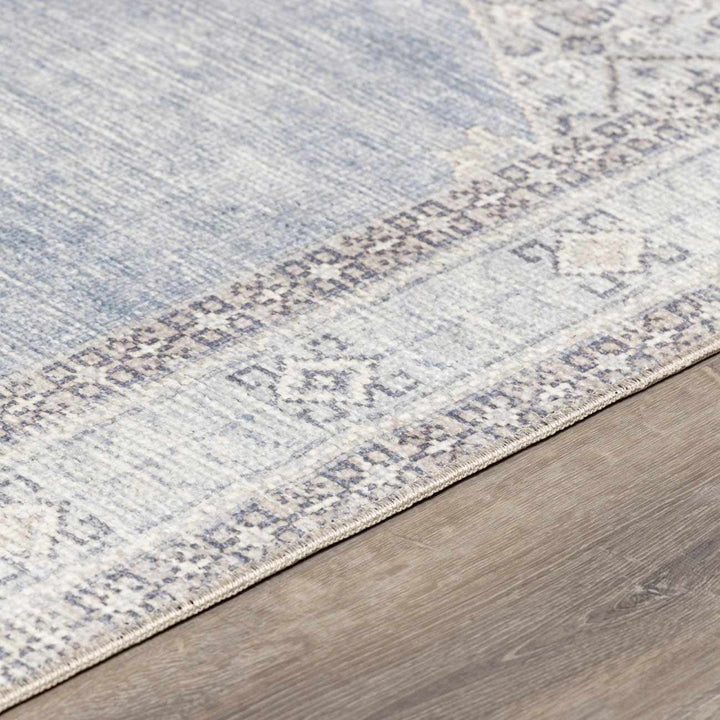 Haide Traditional Style Gray And Ivory Area Rug - The Rug Decor