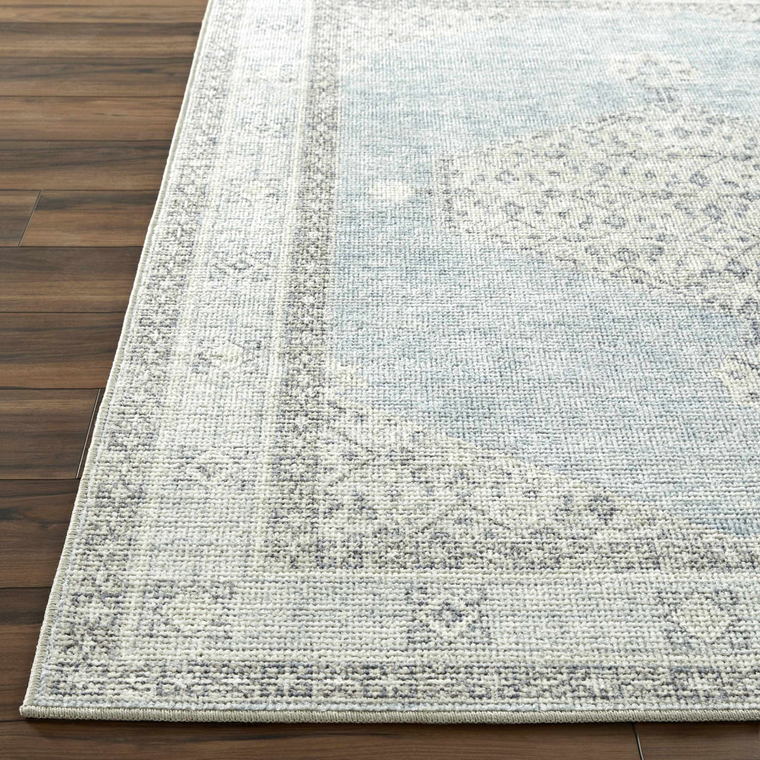 Haide Traditional Style Gray And Ivory Area Rug - The Rug Decor