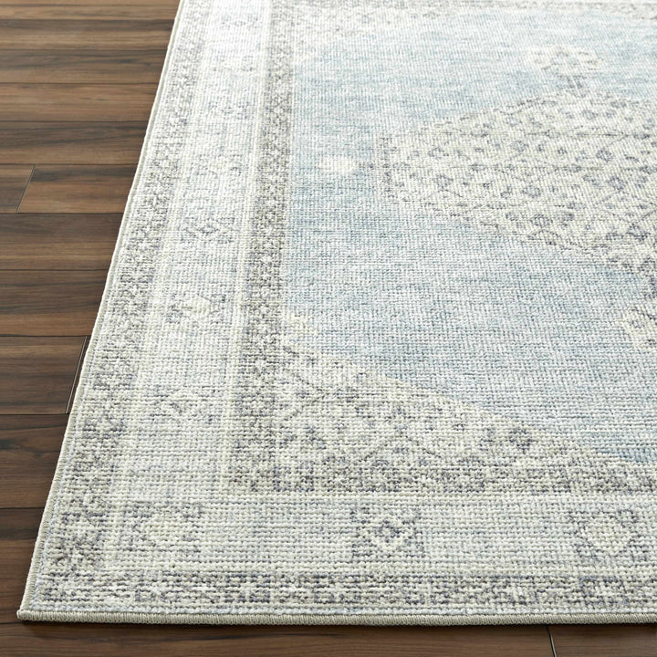 Haide Traditional Style Gray And Ivory Area Rug - The Rug Decor