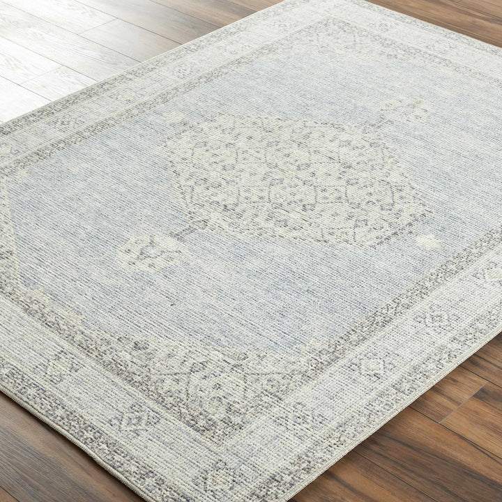 Haide Traditional Style Gray And Ivory Area Rug - The Rug Decor