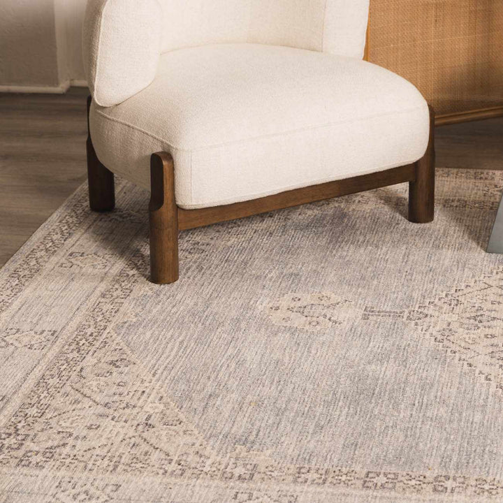 Haide Traditional Style Gray And Ivory Area Rug - The Rug Decor