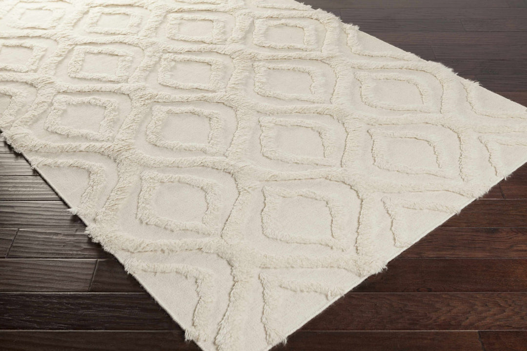 Halesite Ivory Modern Geometrical Design Hand Woven Area Rug - The Rug Decor