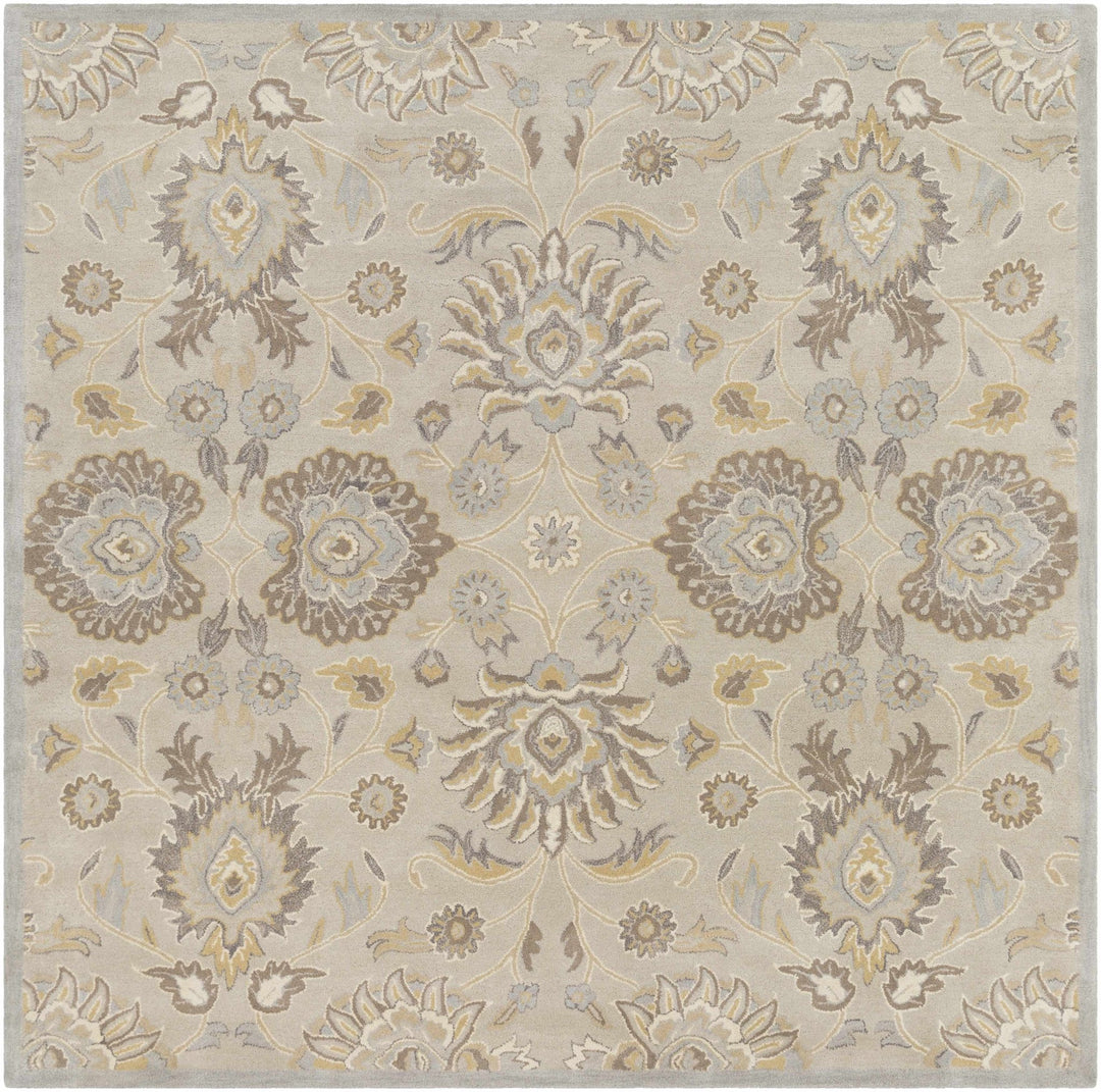 Hand Tufted Tan Traditional Style Wool Area Rug - The Rug Decor