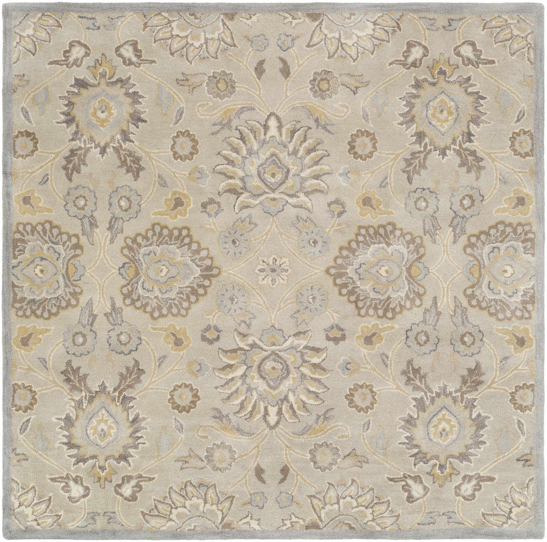 Hand Tufted Tan Traditional Style Wool Area Rug - The Rug Decor