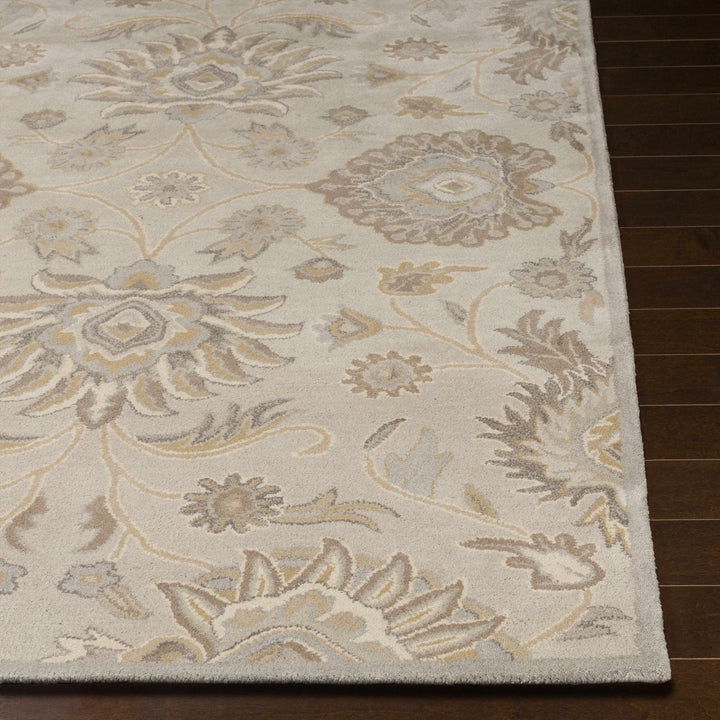 Hand Tufted Tan Traditional Style Wool Area Rug - The Rug Decor