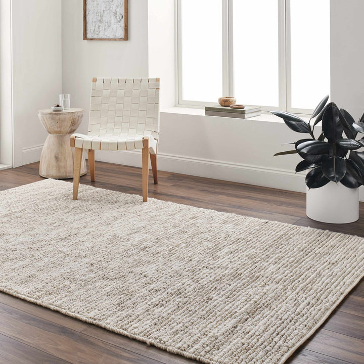 Hand Woven Ivory Modern Style Braided Jute Carpet - The Rug Decor
