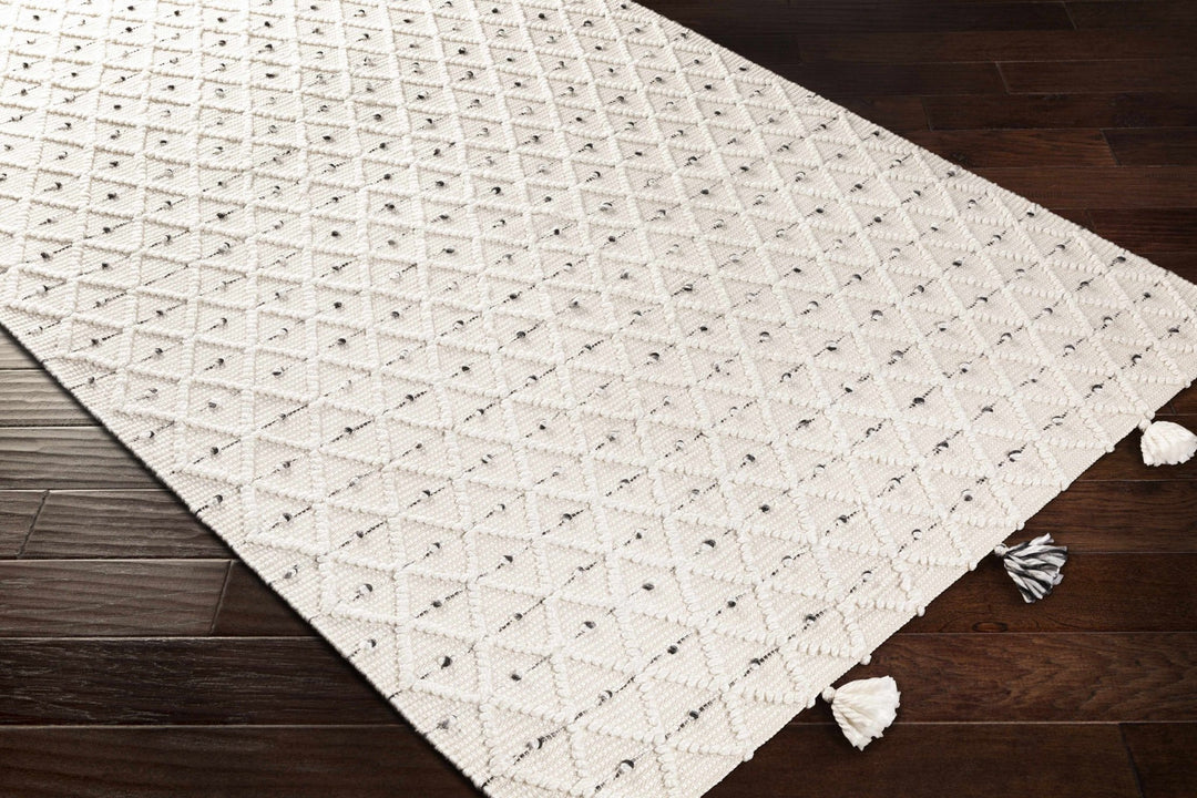 Hand Woven Modern Geometrical Beige and Charcoal Tassel Design rug - The Rug Decor