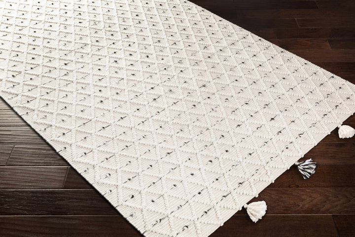 Hand Woven Modern Geometrical Beige and Charcoal Tassel Design rug - The Rug Decor