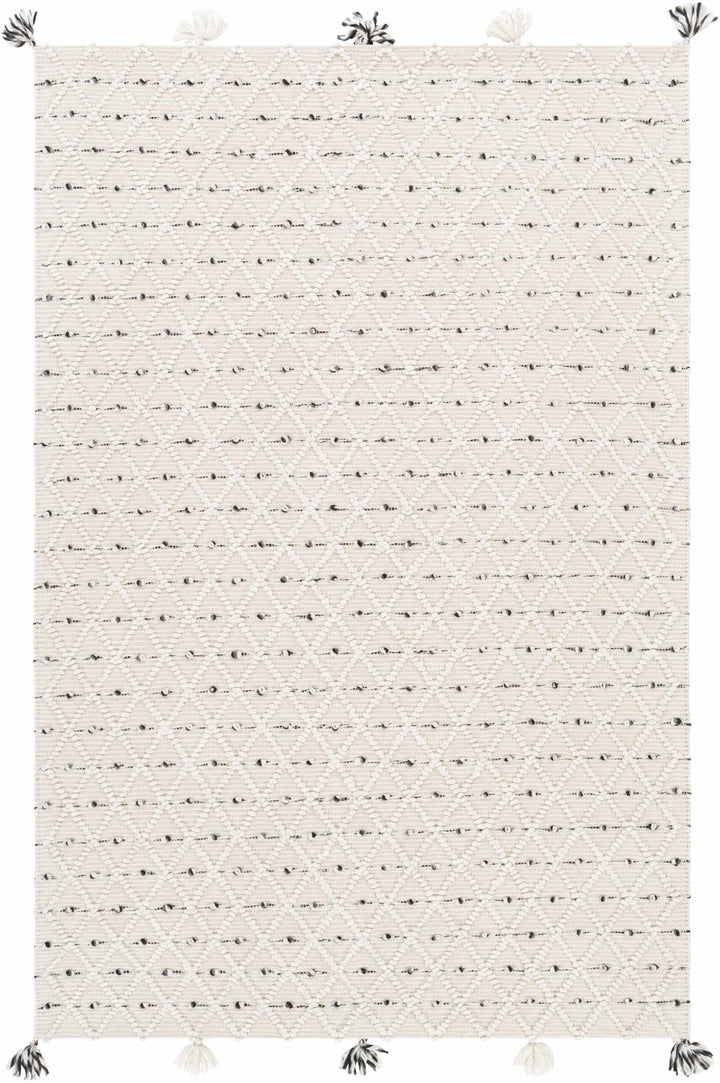 Hand Woven Modern Geometrical Beige and Charcoal Tassel Design rug - The Rug Decor