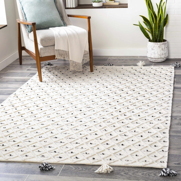 Hand Woven Modern Geometrical Beige and Charcoal Tassel Design rug - The Rug Decor