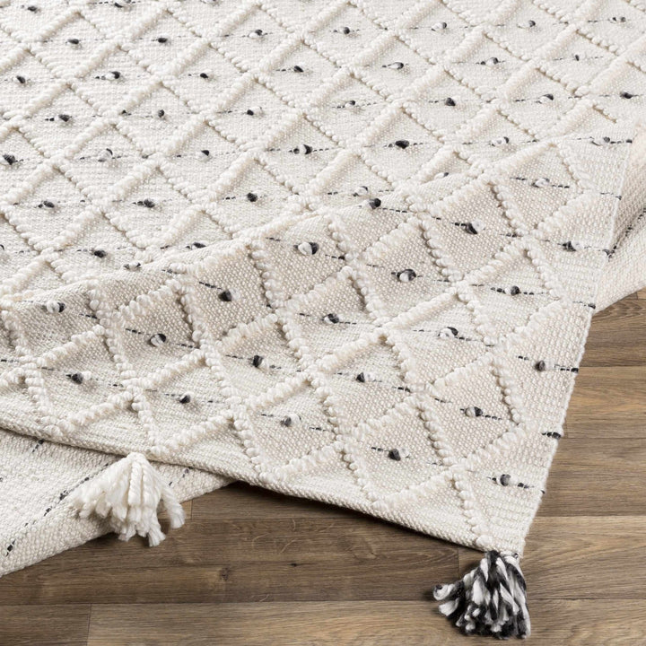 Hand Woven Modern Geometrical Beige and Charcoal Tassel Design rug - The Rug Decor