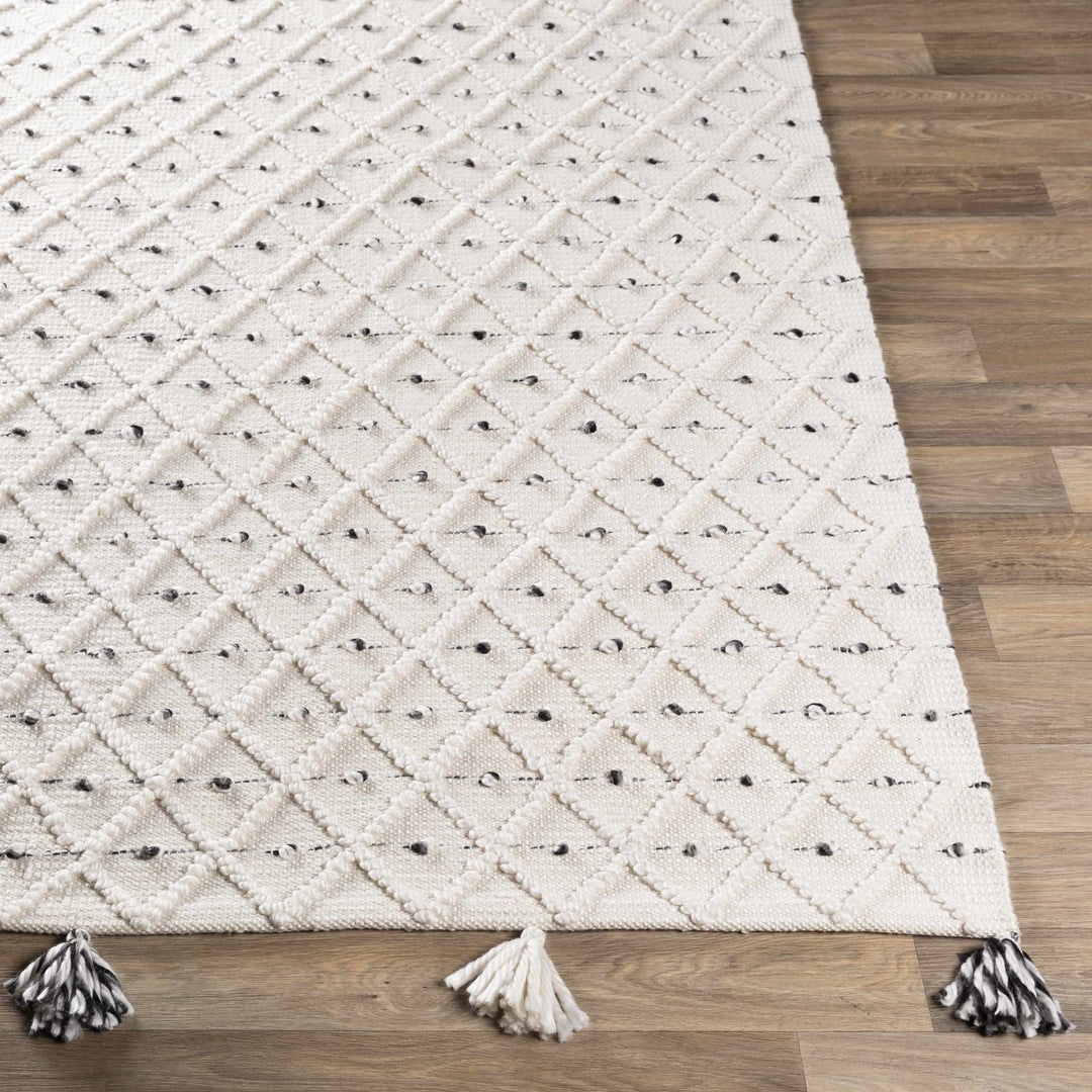 Hand Woven Modern Geometrical Beige and Charcoal Tassel Design rug - The Rug Decor