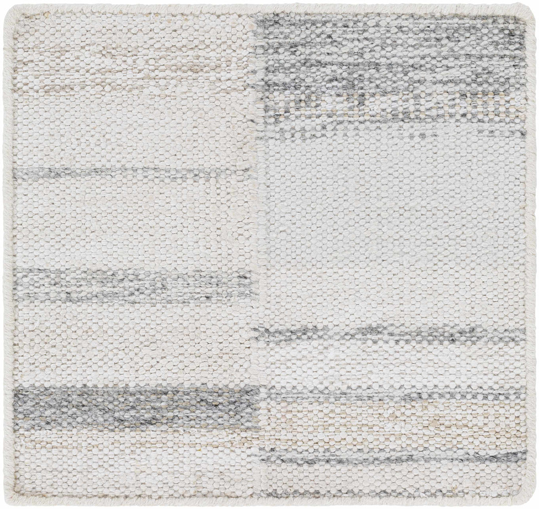 Hantsport Modern Style Ivory And Gray Hand Woven Area Rug