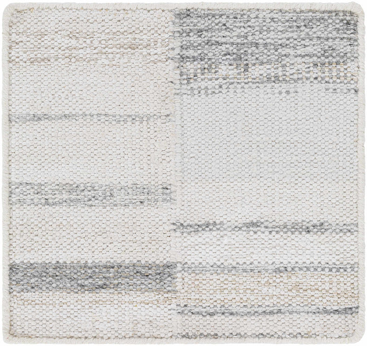 Hantsport Modern Style Ivory And Gray Hand Woven Area Rug