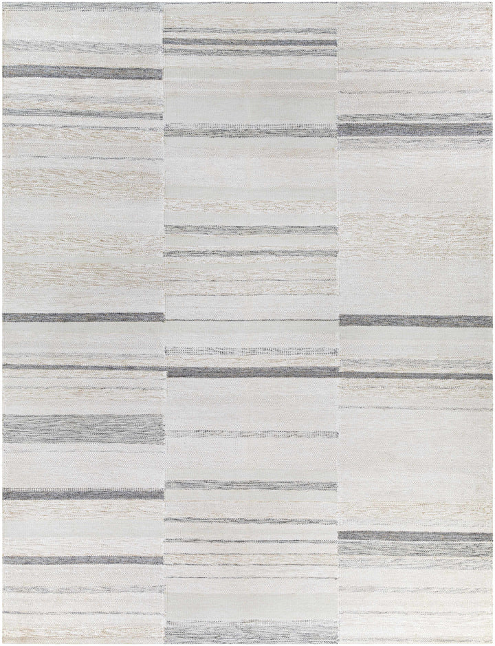 Hantsport Modern Style Ivory And Gray Hand Woven Area Rug