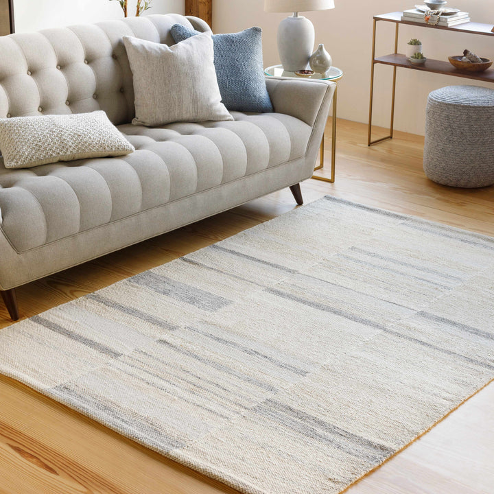 Hantsport Modern Style Ivory And Gray Hand Woven Area Rug