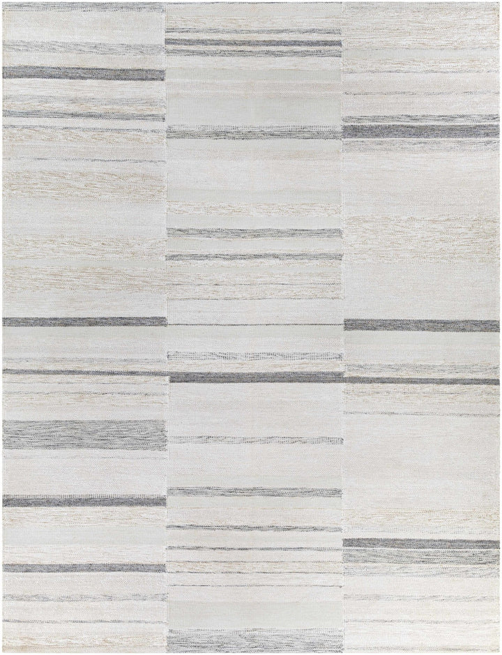 Hantsport Modern Style Ivory And Gray Hand Woven Area Rug - The Rug Decor